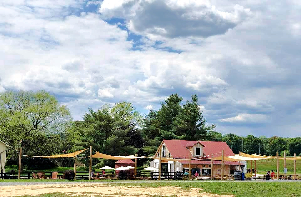 Frugal Foodie Mama Booze & Brews with a View 8 MustVisit Wineries & Breweries in Loudoun