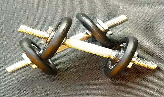 5 نصائح بسيطة لكسب المزيد من العضلات للشخص النحيف 5 نصائح بسيطة لكسب المزيد من العضلات للشخص النحيف