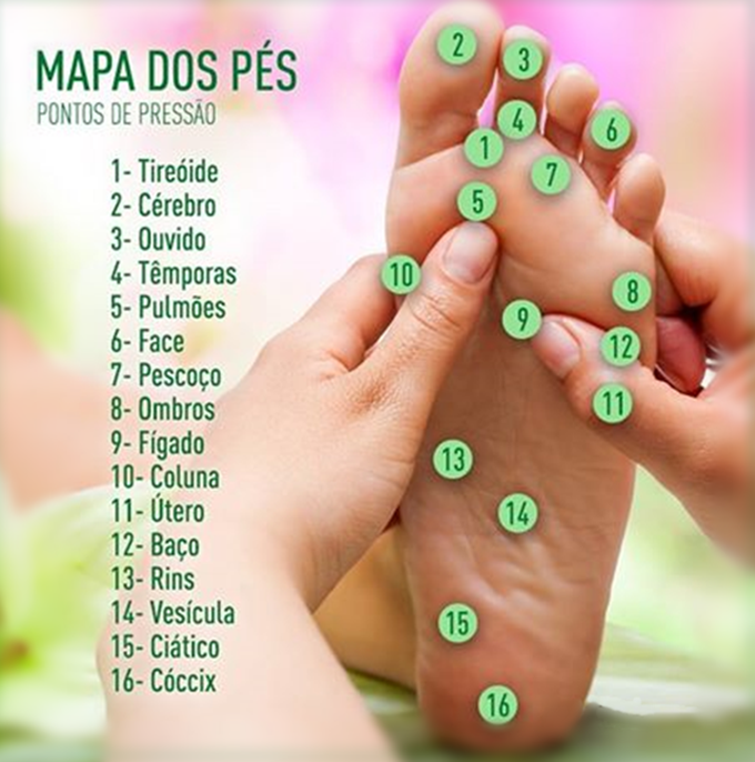 Princípios da Reflexologia Princípios da Reflexologia