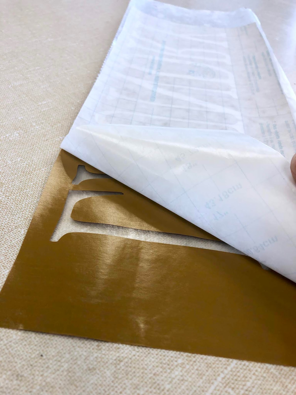 Dollar Tree Shelf Liner Cricut Hack