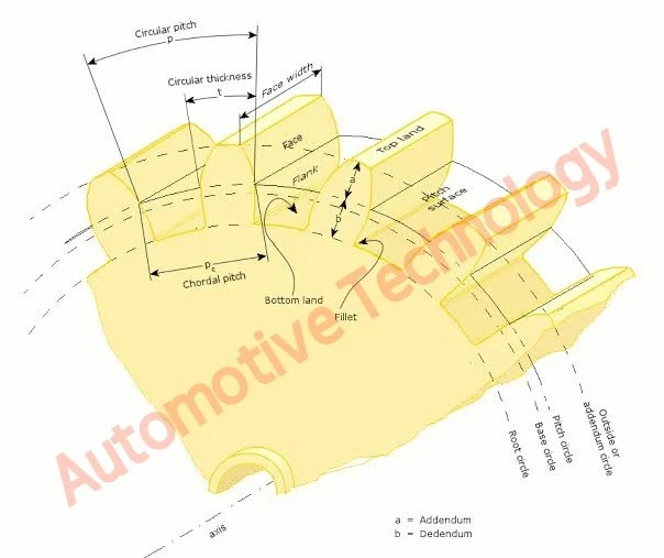 Gear terminology design of gear