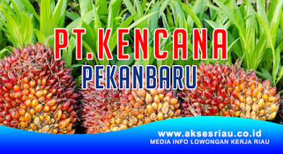 PT. Kencana Pekanbaru