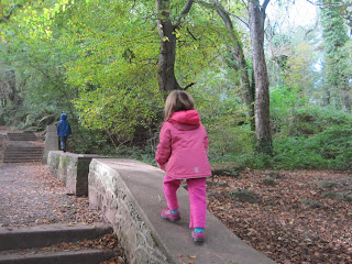 Walking along the wall through the woods