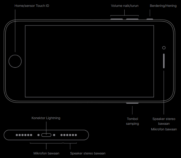 Cara Mengatasi Speaker Iphone Yang Tidak Berfungsi Sebelah Pukeva