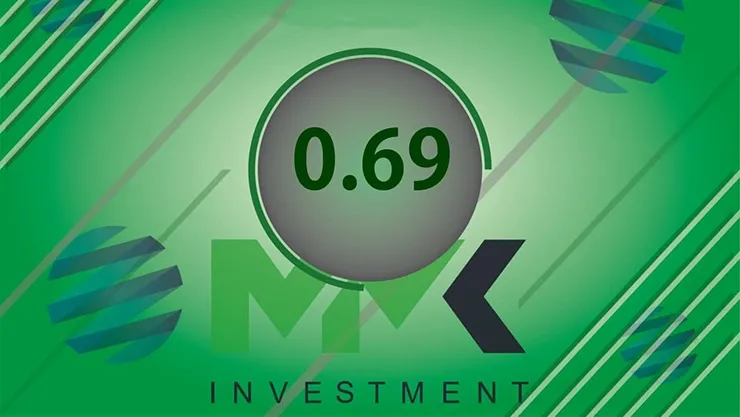 Отчет от MMK Investment
