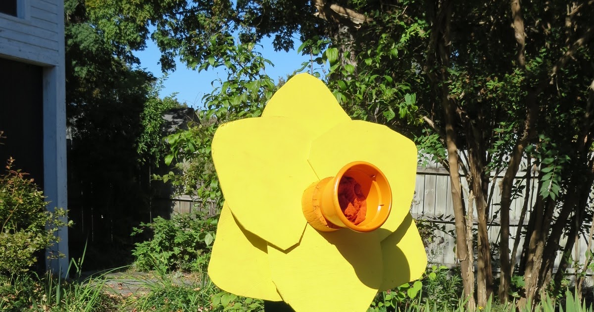 Maynard Life Outdoors and Hidden History of Maynard Trail of Flowers 2021