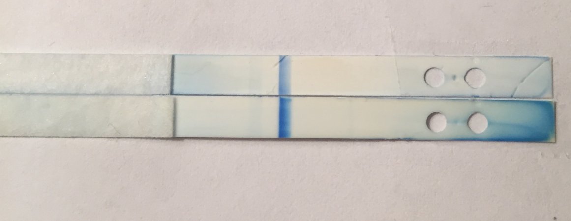 The Inside Of A Negative Clearblue Digital Pregnancy Test the-inside-of-a-negative-clearblue-digital-pregnancy-test