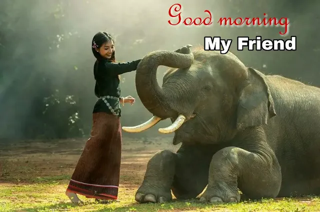 good morning image friendship