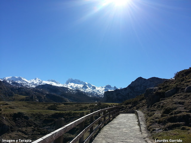 Mi camino hasta aquí