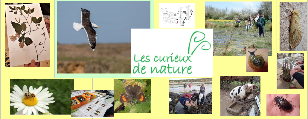 Les curieux de nature