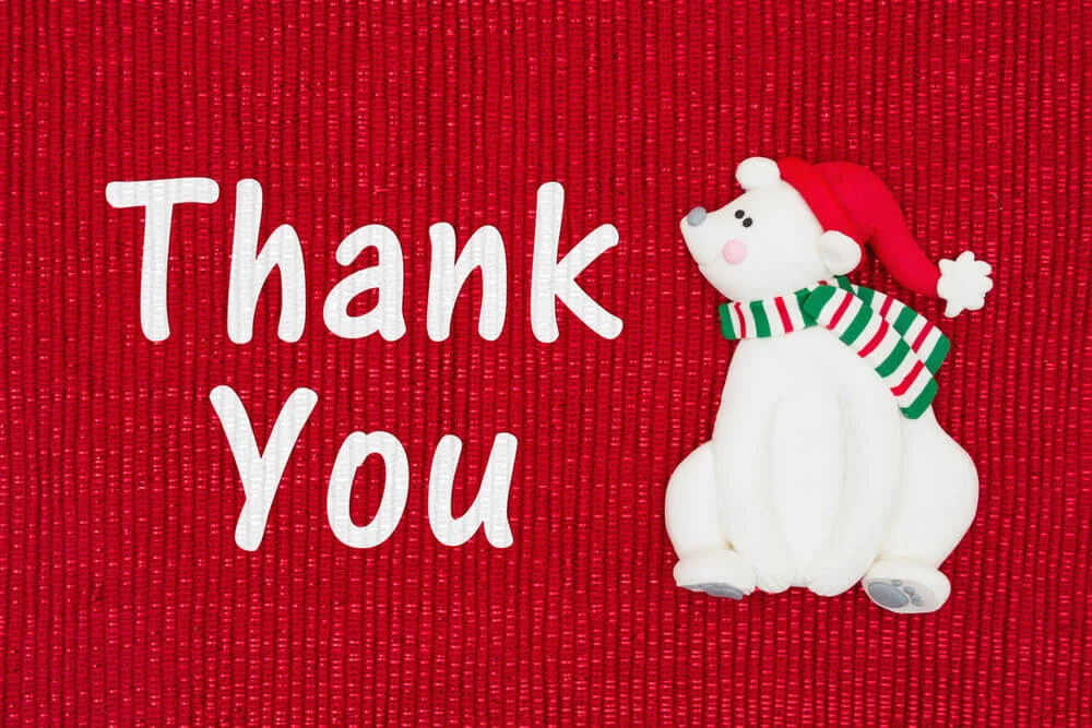 Artistic Merry Christmas Thank You Photo in 4K