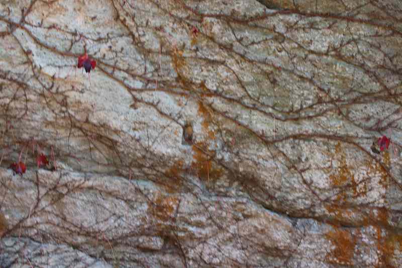 화순 영구산 운주사 화순 영구산 운주사