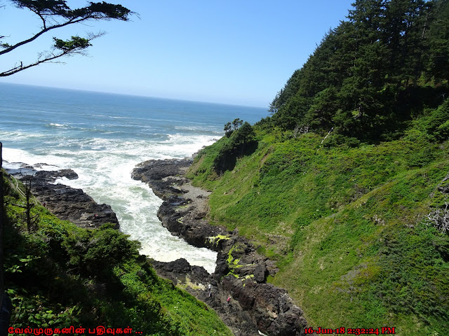 Devil's Churn Viewpoint Oregon