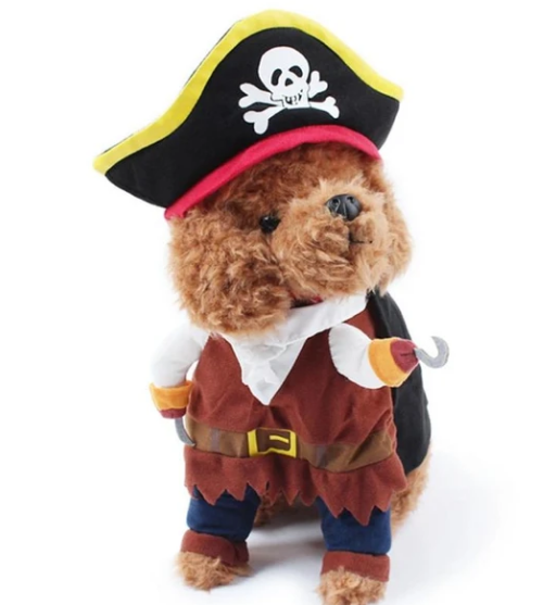 Should Dogs Wear Clothes?