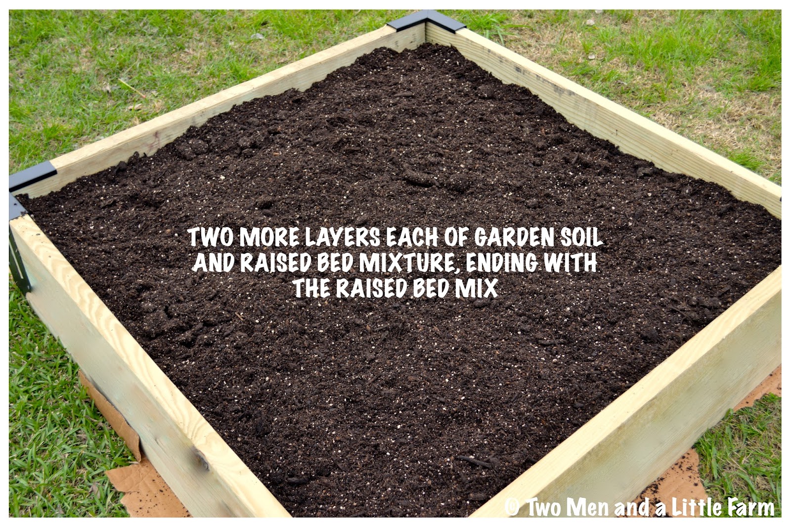 Two Men and a Little Farm RAISED BED SOIL FOR FRUIT TREES