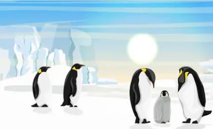 Can Penguins Get Cold ~ TELUGU WORLD