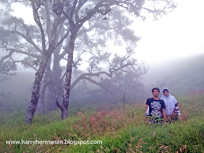 Soft Trekking di Bukit Nanggi, Sembalun, Lombok Timur