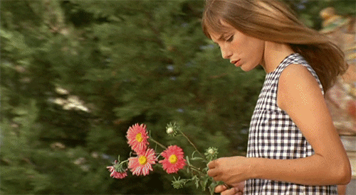 giphy%2B%252833%2529.gif