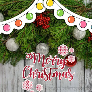merry christmas images and photo free download