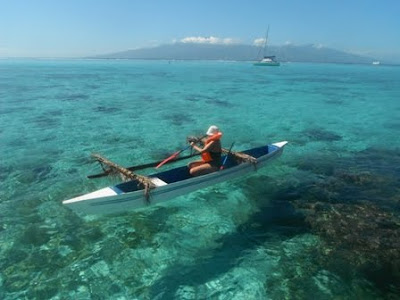 El paraiso si existe y esta en la Polinesia - Blogs de Oceania - El paraiso si existe y esta en la Polinesia (27)