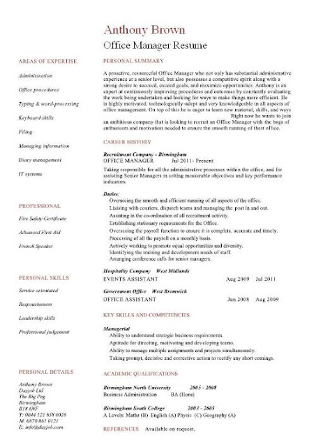 Division manager resume