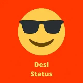 desi status in hindi