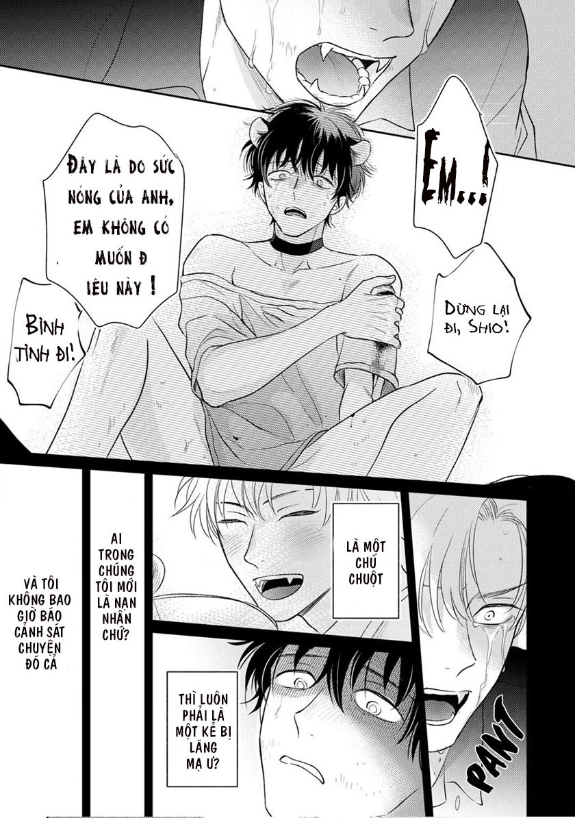 Đọc truyện To Make A Delicious Omega Squeak (Hanasawa Namio) - Chapter 3