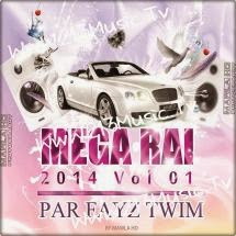 Mega Rai 2014 Vol 01