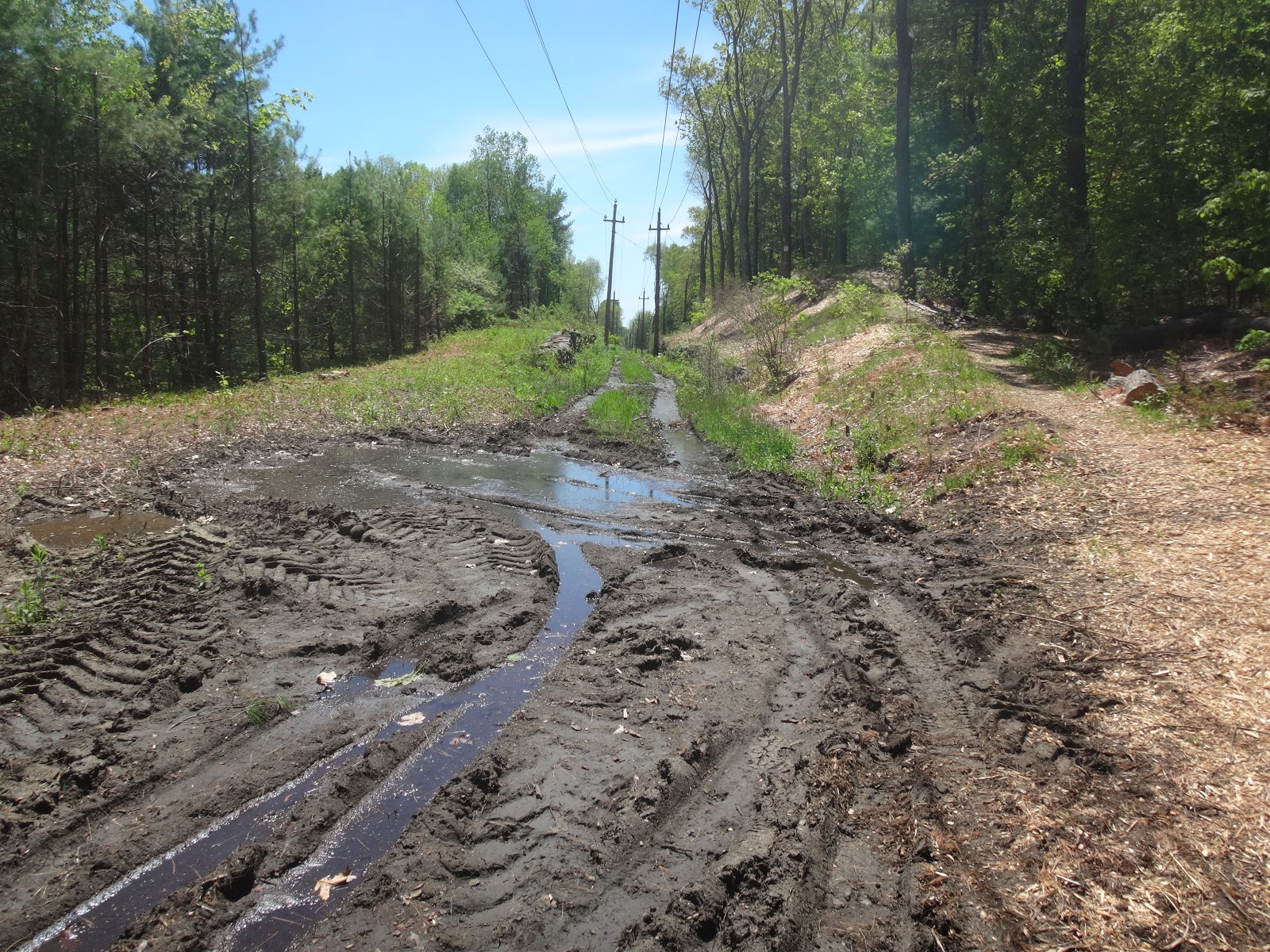 double d mountain runner Weekend Ride on the Groveland, and