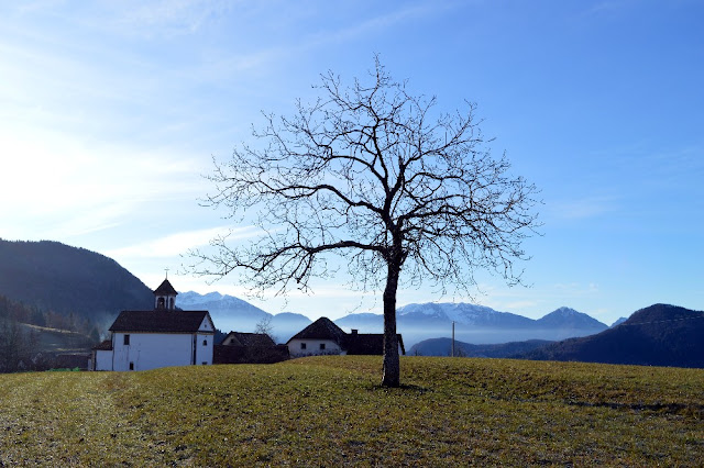 cosa vedere in carnia