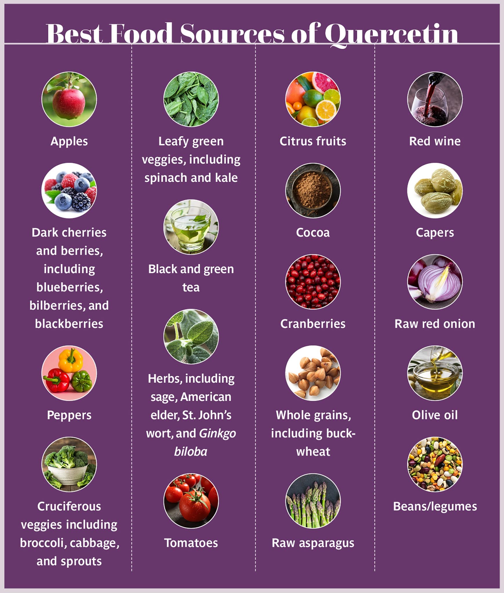 Quercetin Side Effects and Interactions 2023