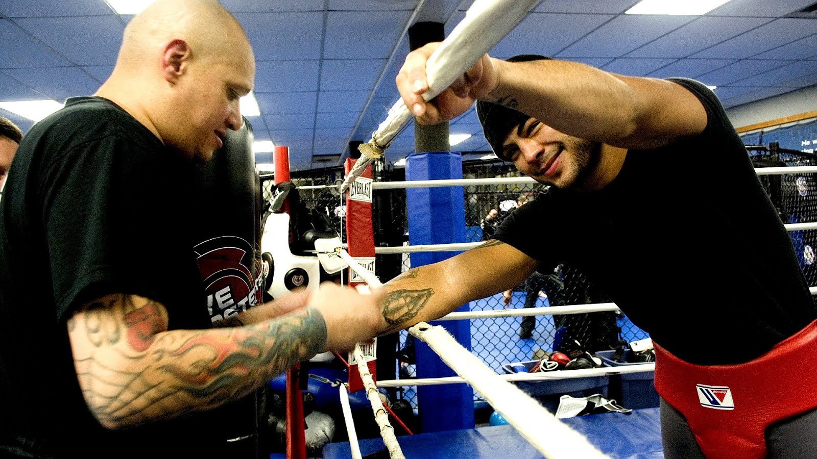 Boxing Long Island Box Choices