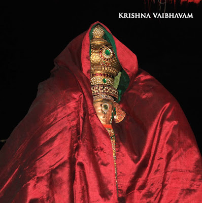 2015, Brahmotsavam, Narasimha Swamy, Parthasarathy Temple, Thiruvallikeni, Triplicane, Yoga Narasimhar, Simha Vahanam