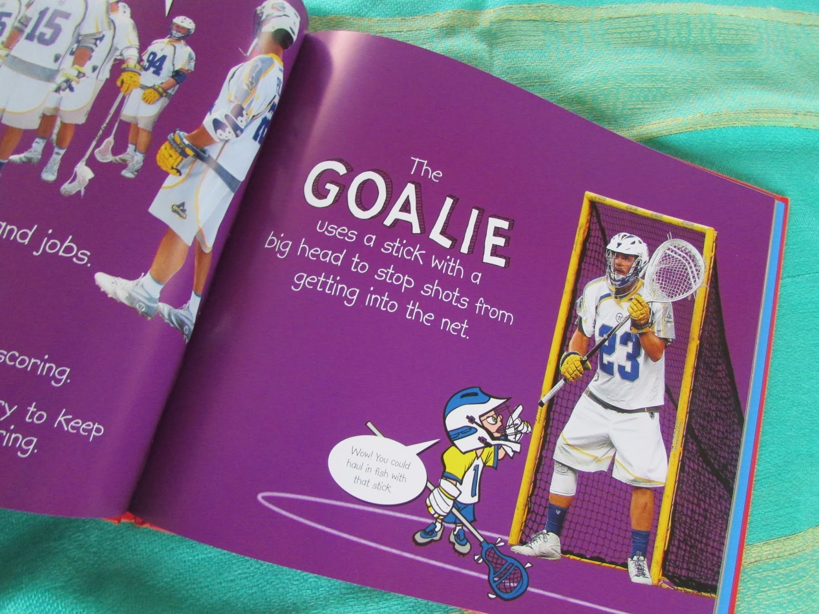 Heck Of A Bunch My First Book of Lacrosse Book Review