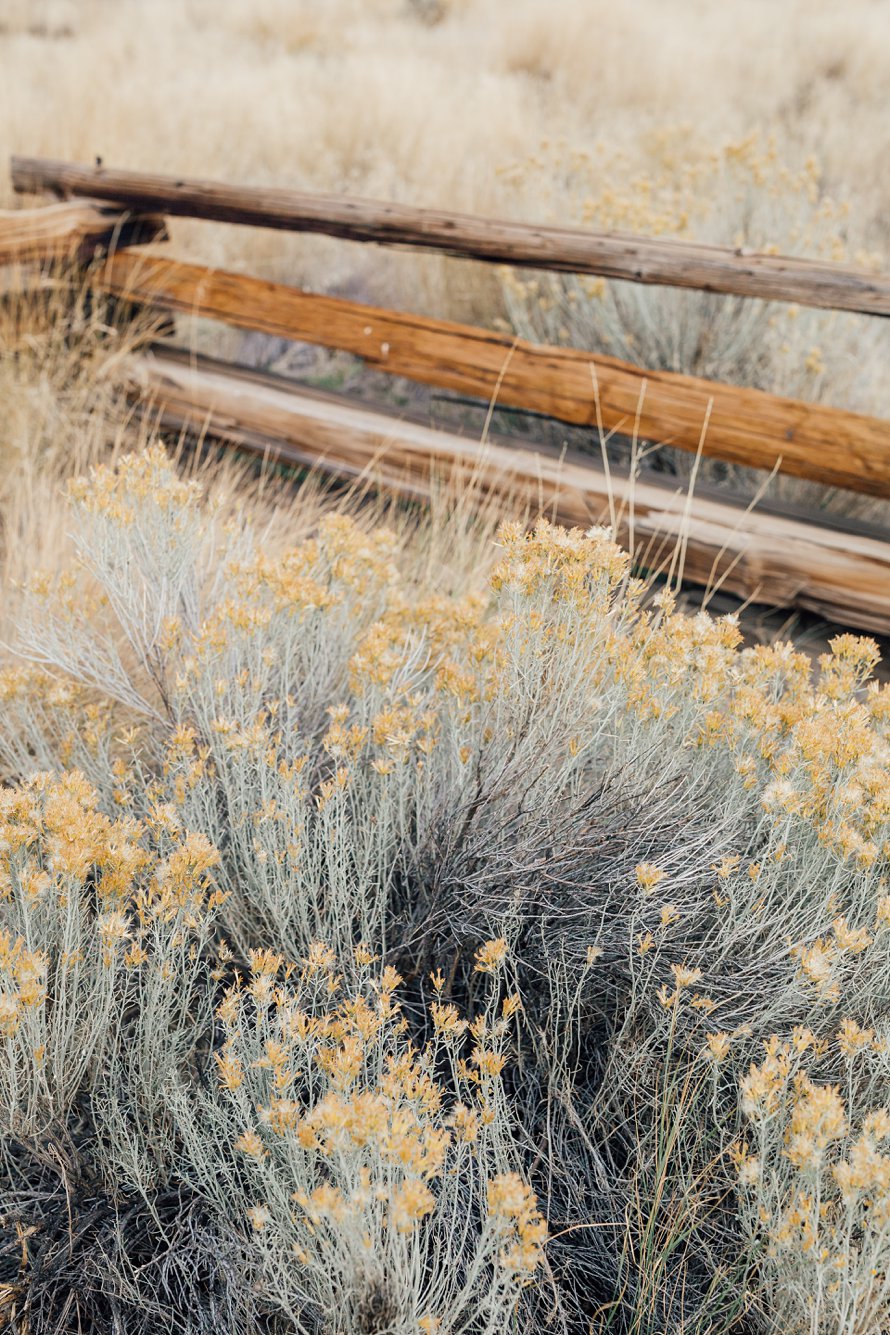 Smith Rock State Park-PNW Elopement-Fall Wedding-Bend Wedding Photographers-Something Minted Photography