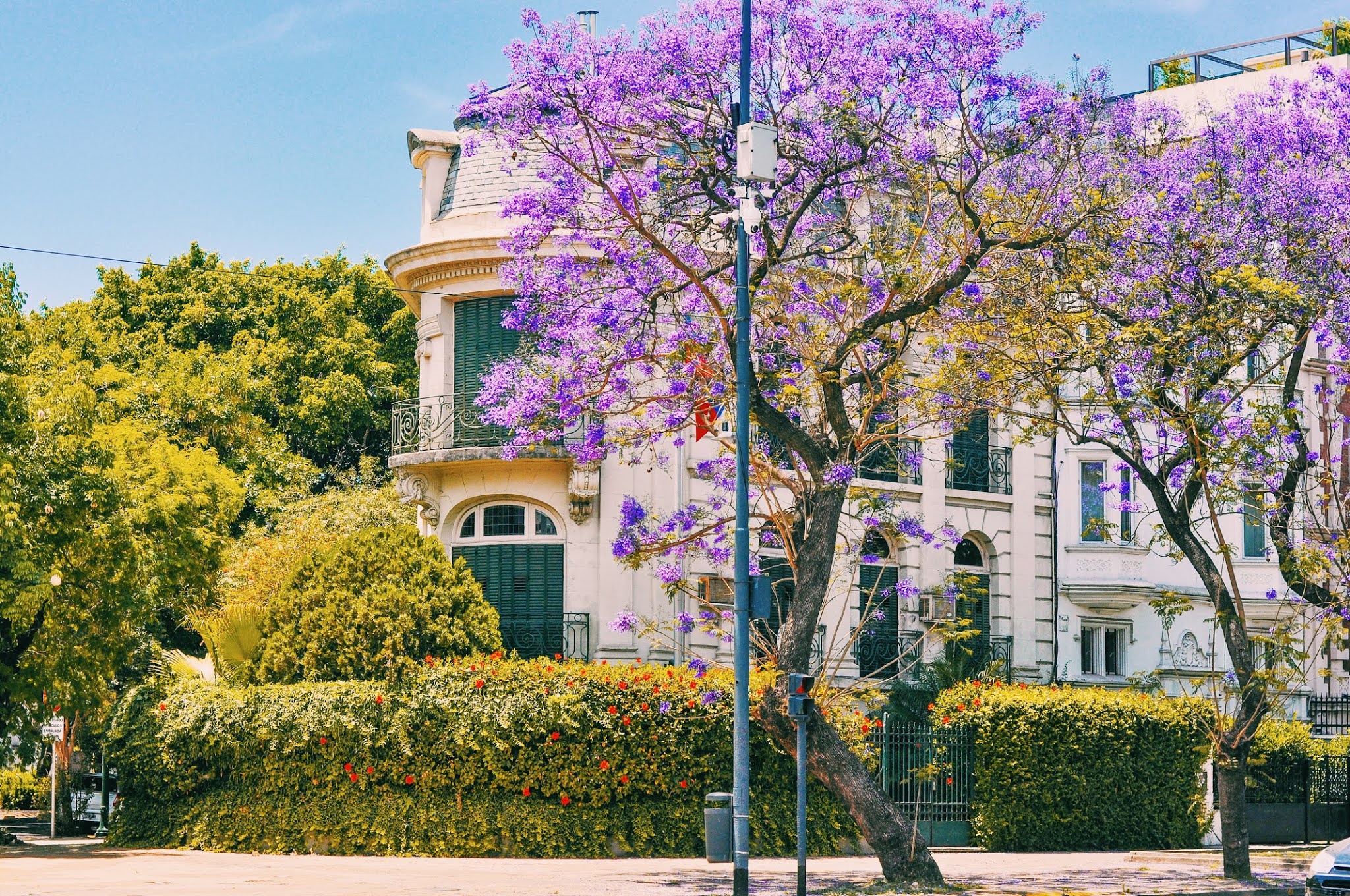 Mapa con todos los Jacarandas de Buenos Aires | Agus Yornet Blog
