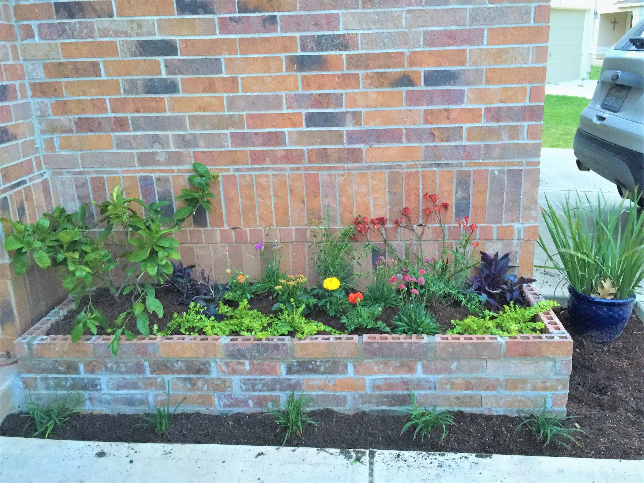 How To Build A Garden Wall Home Ideas