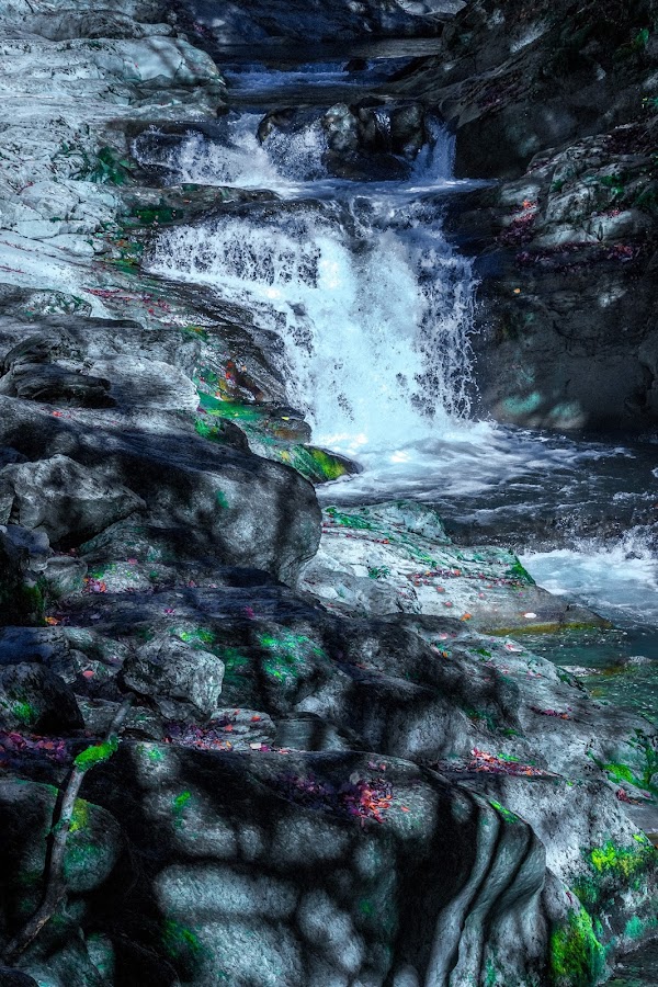 España, Navarra, Pirineo