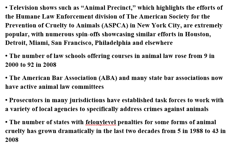 Cruelty to Animals and Human Violence Voice for Animal