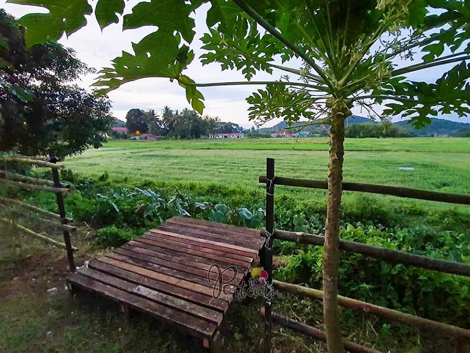 Homestay Kampung Tepi Sawah, Salah Satu Penginapan Yang Sangat Best Dan