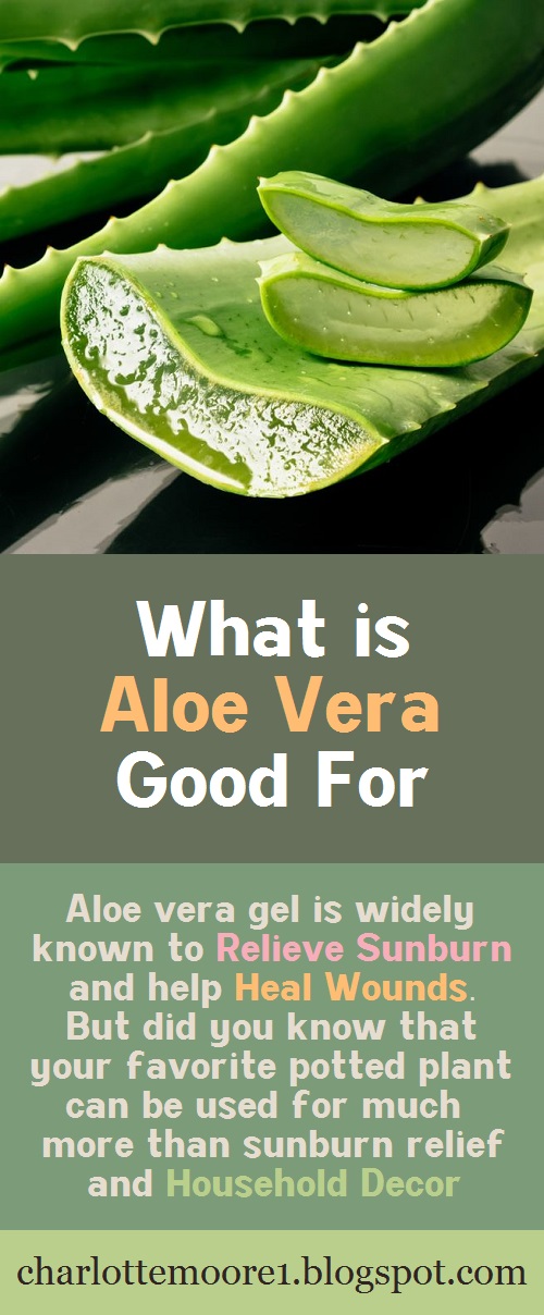 What is aloe vera good for? Charlotte Moore