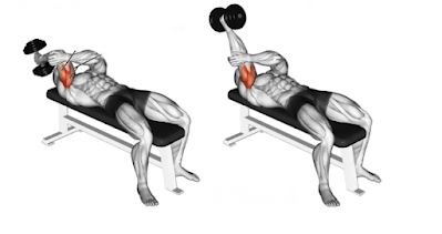 Triceps Exercises - Unilateral tricep extension (dumbbell)