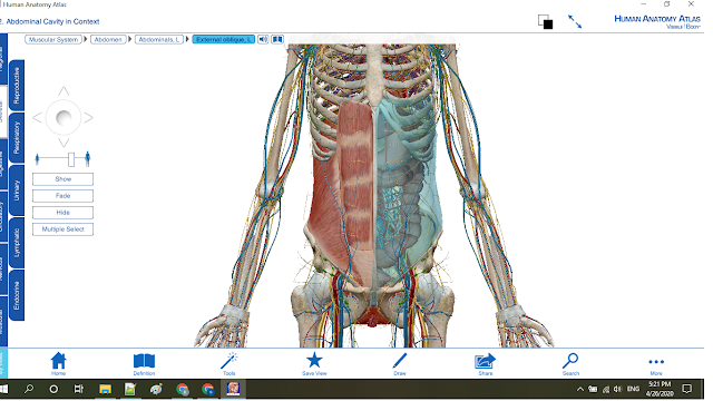 cấu trúc mô phỏng 3D với trải nghiệm giống như trong phòng thí nghiệm