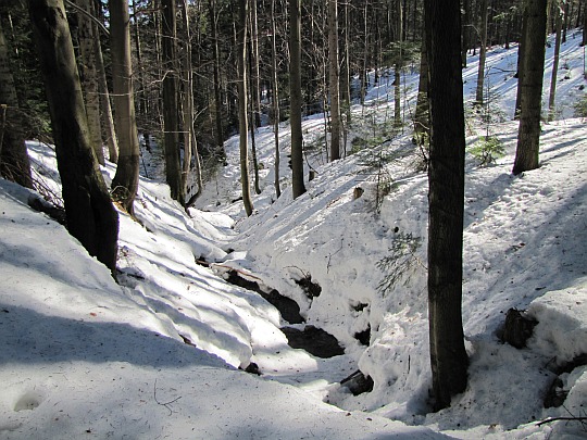 Magura Małastowska, las Magury.