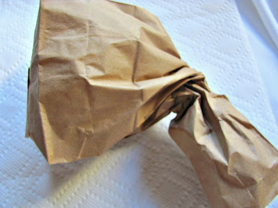 Christmas cone tree styrofoam lace trees fabric craft forms tutorial forest several need variety shabby chic sizes 1355 decorations miscellany Fun and Entertaining Christmas Ornament - Crafts a la mode