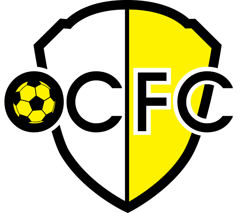 Rachael Designs: City Soccer Team Logo