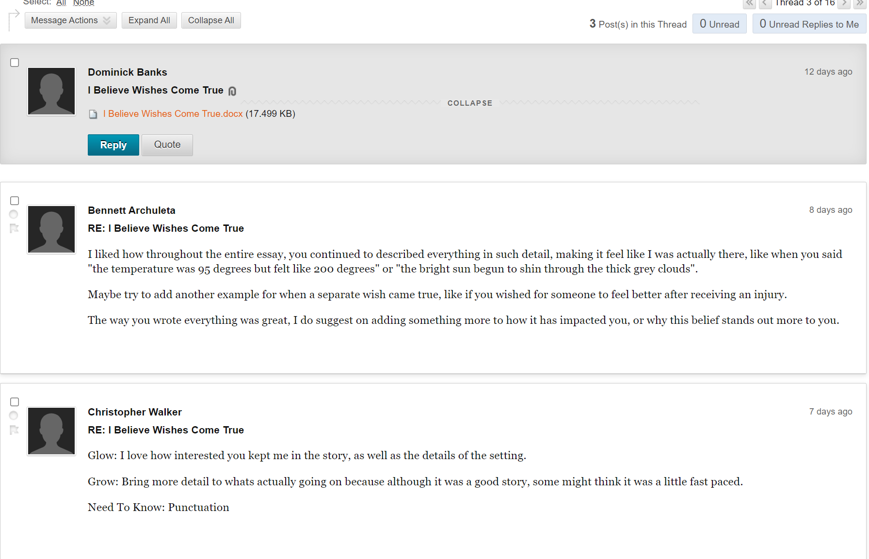 Dominick k piegaro essay 03 image