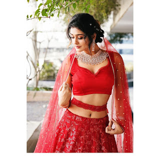Actress Payal Rajput New Glam Photoshoot Pics