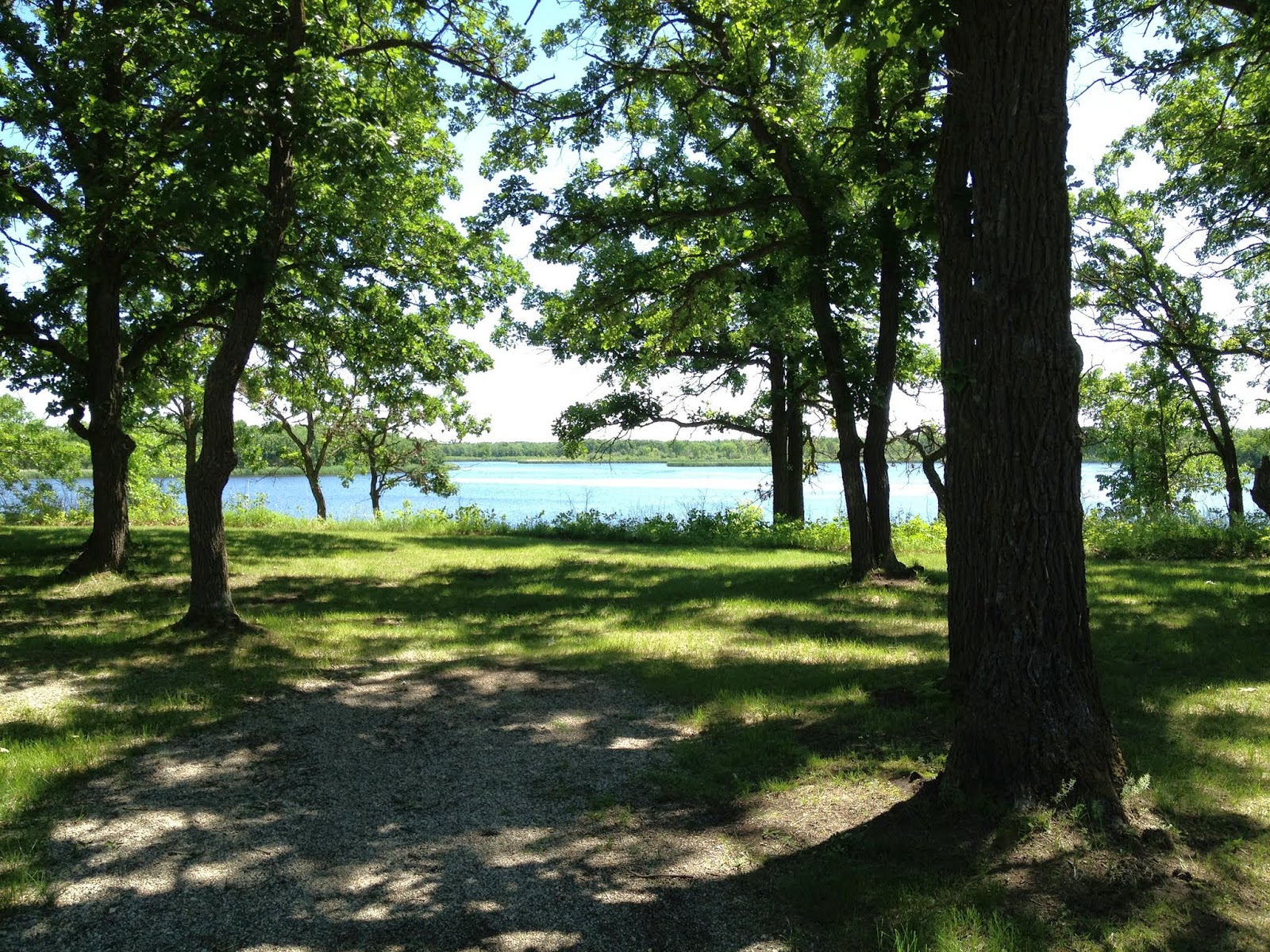 Adventures with Marcus Tallgrass Aspen Parkland Biome Lake Bronson