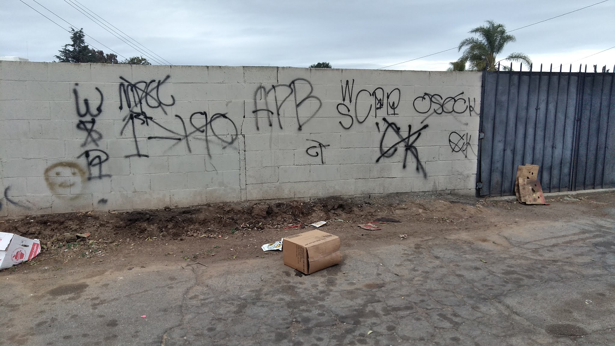 blood gangs graffiti Campanella park piru ( compton )